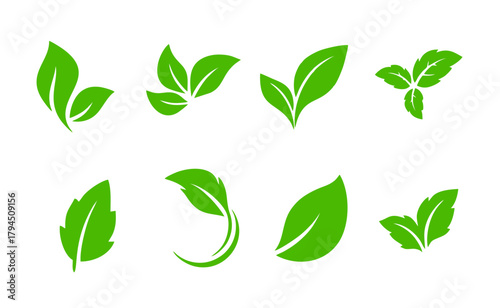 Collection of Green Leaf Logo and Icon Designs