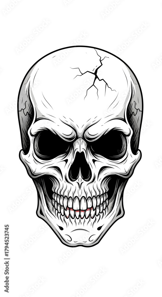 Fototapeta premium skull and crossbones