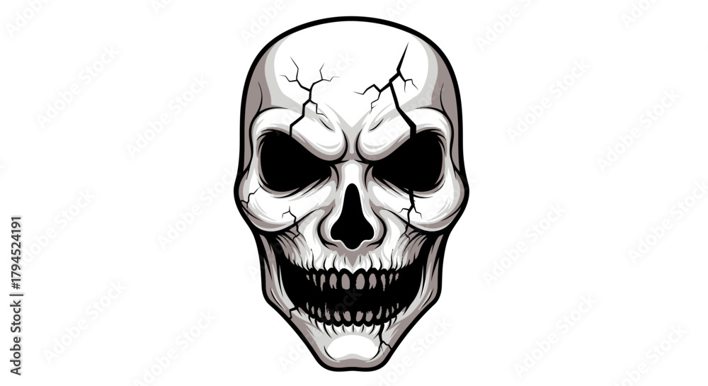 Fototapeta premium skull on black