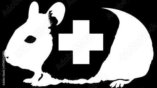 Chinchilla and Squirrel Silhouette Graphic with Plus Sign. Animal Vector Icon for Pet Care, Veterinary Medicine, or Small Rodent Health