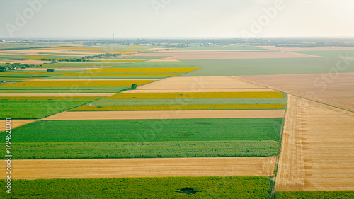 Valokuva Aerial view of agricultural fields with crop of cereal culture