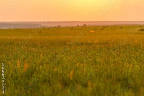 Εκτύπωση καμβά Tranquil and Beautiful Sunset Over Lush and Vibrant Green Fields, An Idyllic Sce