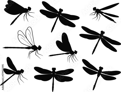 Dragonfly silhouette collection, flying insect poses, vector illustration, black shapes, nature study, wing variation, artistic design, isolated white background, entomology concept