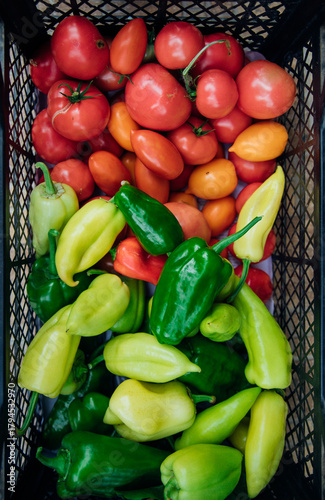 Ripe green pepper and red tomato, collected in a box. Autumn harvest.