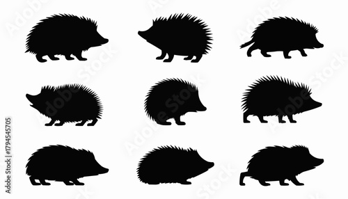 Nine Hedgehog Silhouettes: A collection of minimalist silhouette images of hedgehogs, showcasing the animal's distinctive spiky exterior and adorable form. The simplicity and artistry.