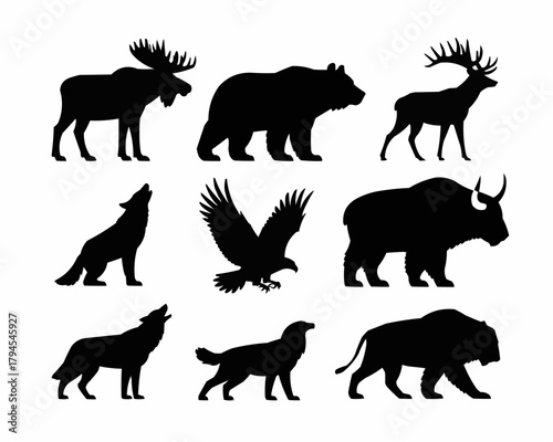Silhouette of Wild Animals: A collection of striking silhouettes of various wild animals, each poised in a unique stance, offering a captivating view of untamed creatures.