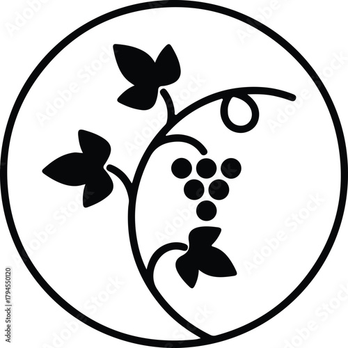 Illustrator grapevine with grapes leaf in the circle Silhouette vector