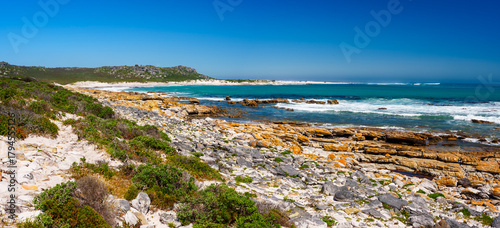 Stunning coastal view of Olifantsbos Beach at Cape Point, Table Mountain National Park, Cape Town, Western Cape, South Africa. Turquoise ocean waves crash on sandy shores under a clear blue sky.