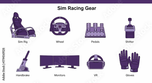 Infographic illustrating eight types of simulation racing equipment in purple outline style