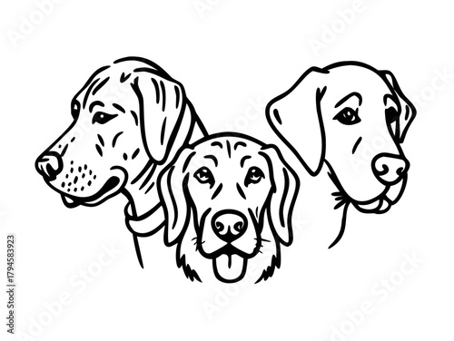 Dog breeds heads vector illustration. Pet portrait in style of hand drawn black doodle on white background
