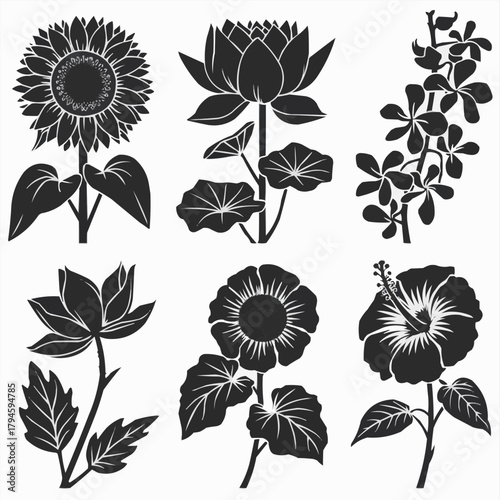 Floral Harmony: A collection of exquisite floral silhouettes, each a study in form and elegance, forming a serene tableau of botanical beauty.