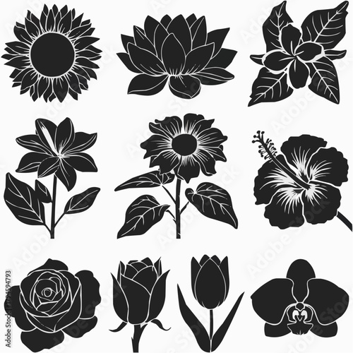 Floral Silhouettes: A collection of exquisite floral silhouettes, each intricately crafted to capture the essence of natural beauty and elegance. 