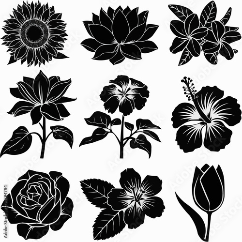 Floral Silhouette Array: A collection of exquisite flowers, each meticulously rendered in stark, contrasting black and a touch of light, offering a versatile visual resource for various design needs.