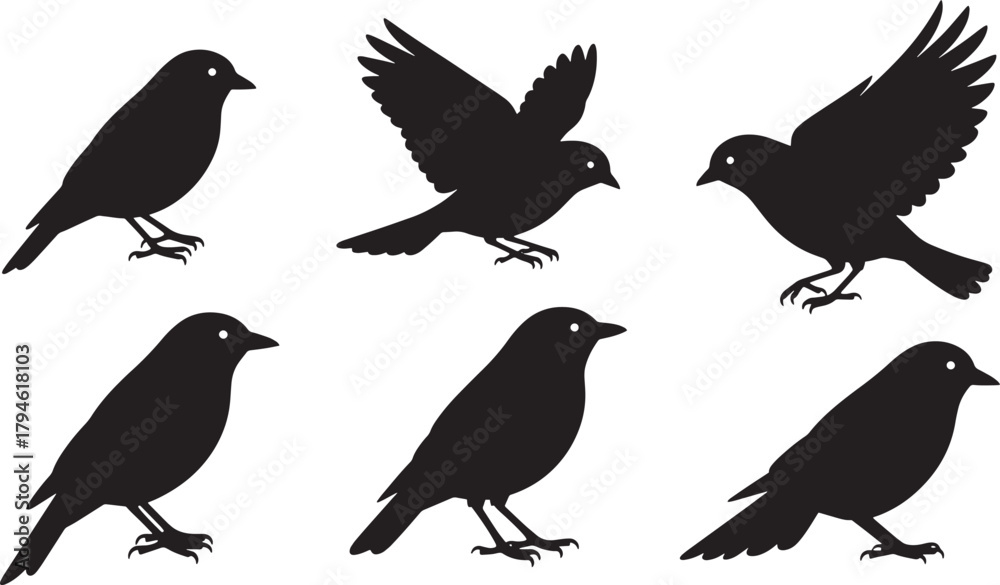Fototapeta premium Bird silhouettes set Vector