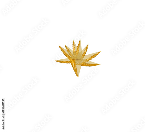 golden christmas star, flower