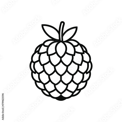 Black and white line drawing of a custard apple isolated on white background


