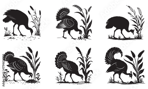 Turkey and fowl silhouettes foraging in fields, rustic farm birds eating crops vector graphic
