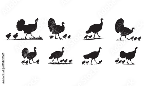 Turkey and chick silhouettes walking on grass, domestic fowl family illustration set
