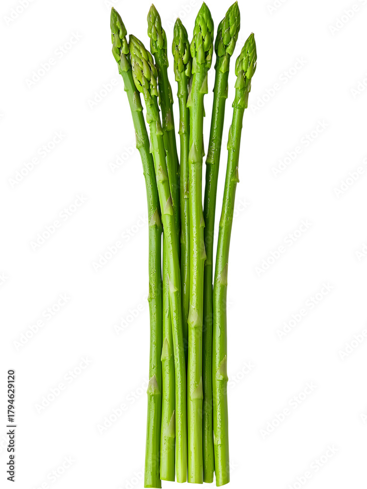Fototapeta premium Fresh asparagus tied in bundle isolated on transparent background, perfect for healthy eating and vegetarian food visuals.