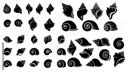 Black Silhouette Conch Shell Icons Vector Set – Nautical Sea Shell Symbols, Marine Coastal Graphics, and Ocean-Themed Design Elements