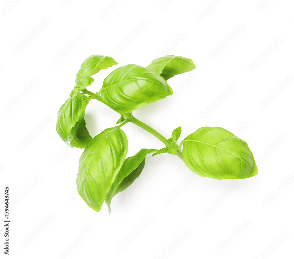Obraz premium Sprig with green basil leaves isolated on white, top view