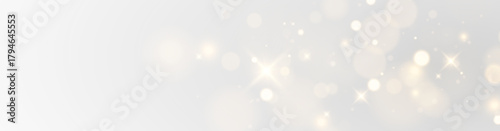 Starlight Vector Burst