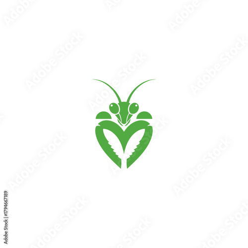 Green praying mantis vector illustration on white background