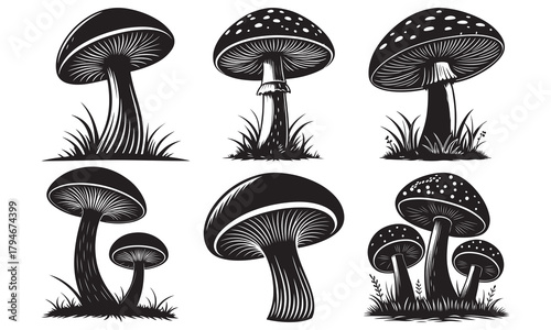 Stylized mushroom collection with grass, detailed fungi silhouettes, black and white vector art
