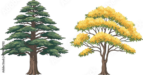 Coniferous pine tree and yellow autumn deciduous tree, seasonal foliage contrast, forest diversity, botanical structure, nature scene, outdoor landscape, plant species, scenic view, tree comparison