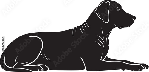 black dog silhouette