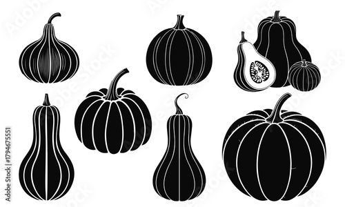 Detailed vector silhouettes of assorted pumpkins and gourds perfect for autumn harvest designs.
