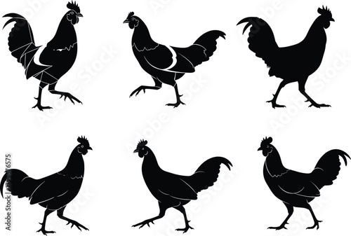 Rooster silhouette vector set, black chicken poses, farm animal design, poultry artwork, crest bird collection, isolated graphic illustrations