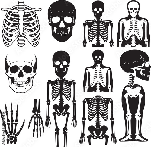 
Human Skeleton Anatomy Black and White Icon Set