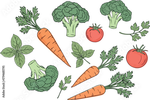 Fresh Vegetables Carrots Broccoli Tomatoes and Herbs.