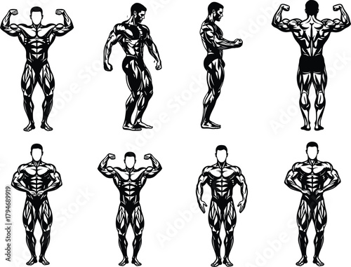 Bodybuilding illustration, muscle anatomy poses, competition stance, fitness vector, flexing figure, gym physique, black design, strength training, athlete art