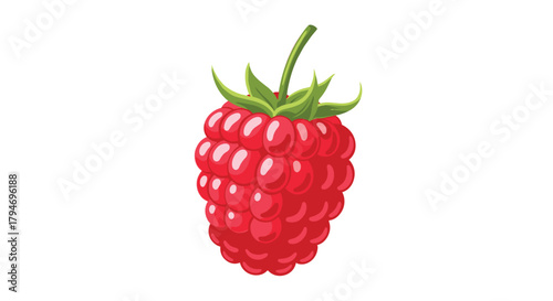 A close-up digital illustration of a vibrant red raspberry fruit with green leaves.