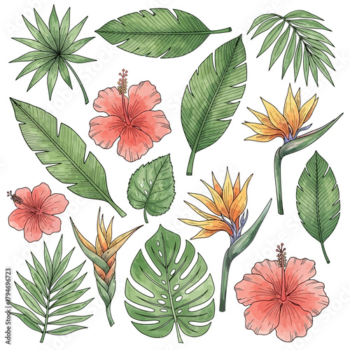 Vibrant hand-drawn collection of exotic tropical leaves and colorful blooming flowers, perfect for summer designs and jungle themes