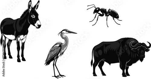 PrintAnimal silhouettes, donkey, heron, ant, buffalo, wildlife icons, black shapes, vector animals, nature symbols, isolated creatures, stock illustration