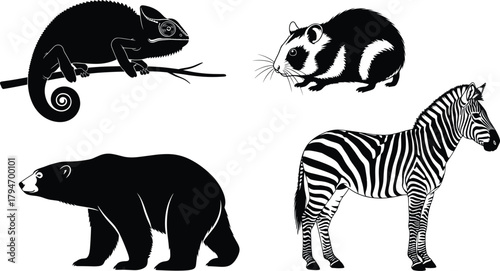 Animal silhouettes, chameleon, guinea pig, bear, zebra, wildlife icons, black shapes, vector animals, nature symbols, isolated creatures, stock illustration