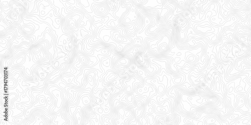 Contour abstract map relief land outline. Topographic map patterns. White wave paper curved reliefs abstract background. Background of the topography map. Abstract pattern with lines.	
