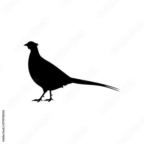 Common pheasant silhouette vector flat illustration design.