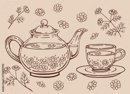 Tea set with glass teapot and cup, chamomile. Hand drawn vector illustration in outline style.