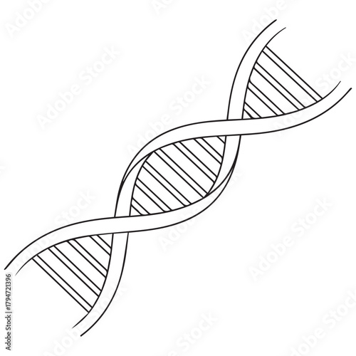 Illustration of a DNA Double Helix Structure for Science Education.