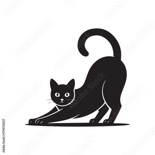 Black cat silhouette stretching