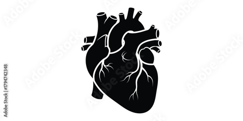 A detailed black silhouette illustration of an anatomical human heart, representing cardiology, health, and medical science concepts