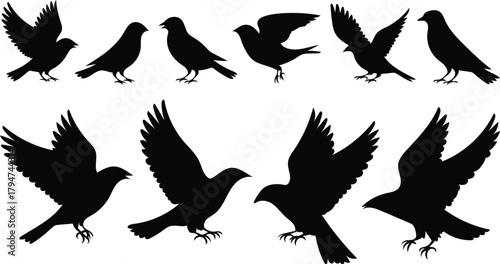 Black silhouettes of birds in flight and perched on a white background