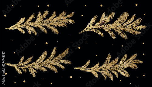 Gold fir branch on black background hand drawn set.	
