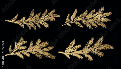 Gold fir branch on black background hand drawn set.	
