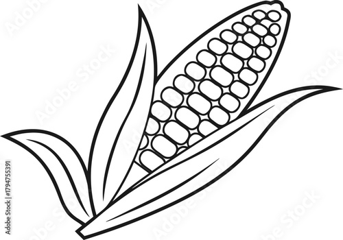 Corn Illustration Set. Fresh Corn Collection. Corn Icons and Elements. Sweet Corn Graphics. Maize Crop Illustration Set. Corn Vegetables Bundle. Corn Cobs and Kernels Art. Organic Corn Food Set