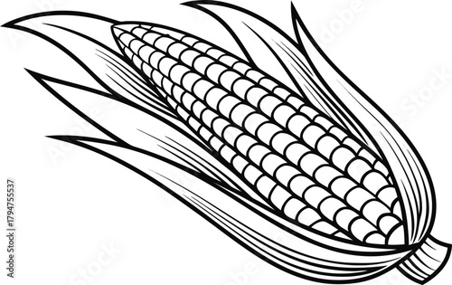 Corn Illustration Set. Fresh Corn Collection. Corn Icons and Elements. Sweet Corn Graphics. Maize Crop Illustration Set. Corn Vegetables Bundle. Corn Cobs and Kernels Art. Organic Corn Food Set